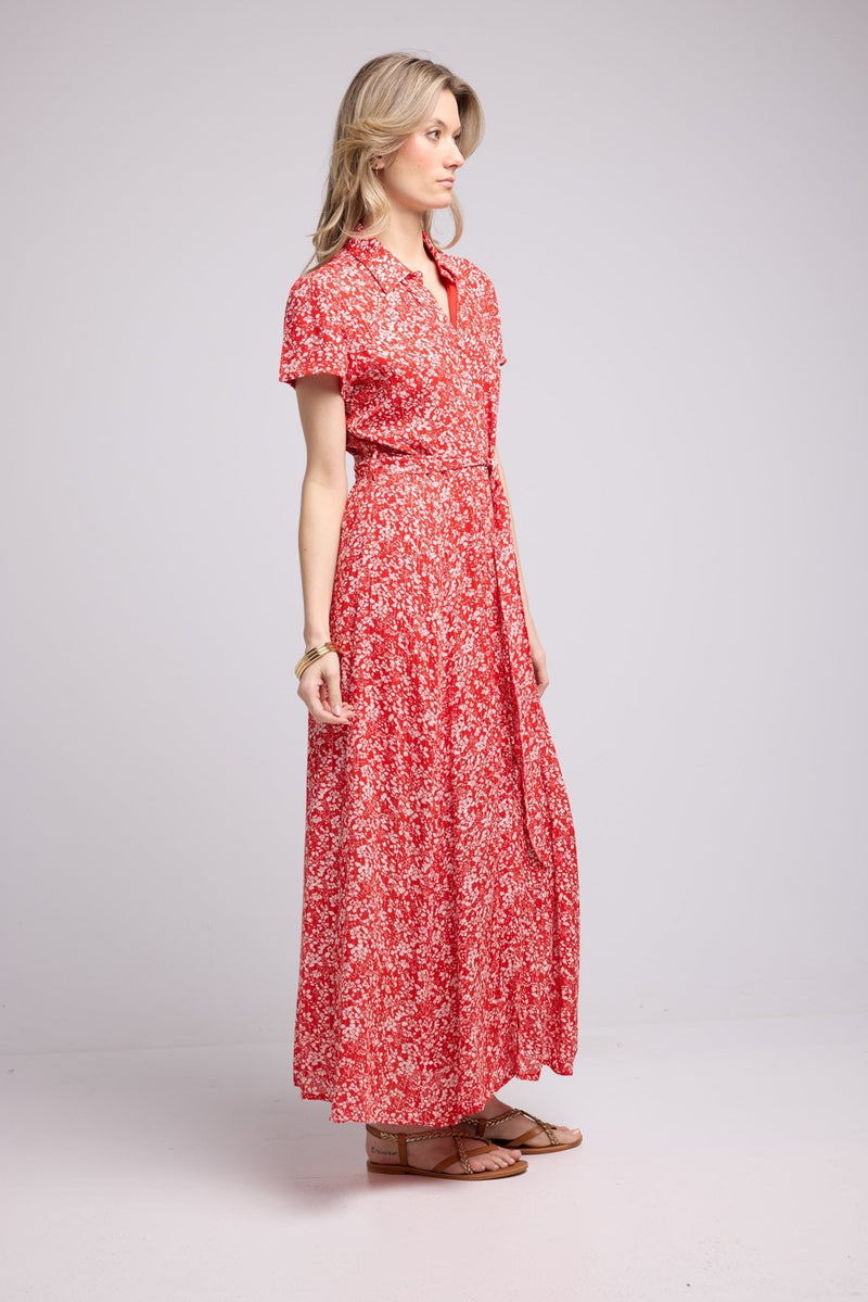 ROBE CIMTIA RED P815